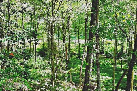 0 Pinnacle Drive Ellijay GA 30540