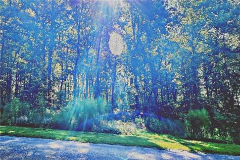 0 Pinnacle Drive Ellijay GA 30540