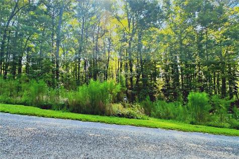 0 Pinnacle Drive Ellijay GA 30540