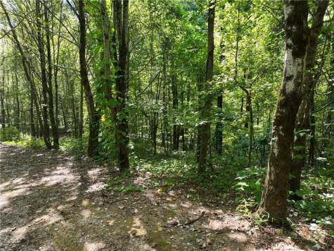 46 Highlands Parkway Jasper GA 30143