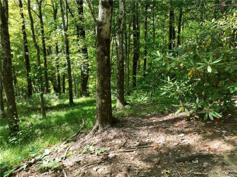 46 Highlands Parkway Jasper GA 30143