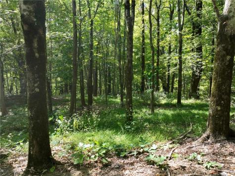 46 Highlands Parkway Jasper GA 30143