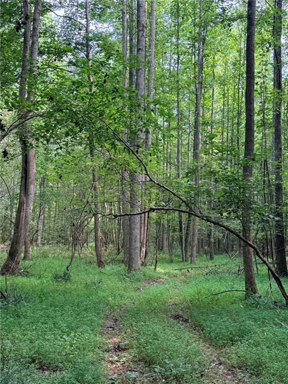 Lot 9 Henderson Mountain Road Jasper GA 30143