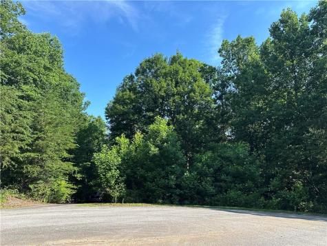 5 Lots Clearview Drive Cleveland GA 30528