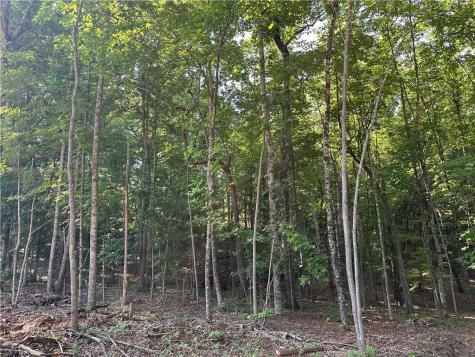5 Lots Clearview Drive Cleveland GA 30528