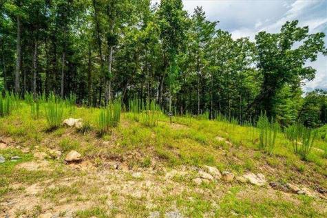0 Ridge Drive Morganton GA 30560