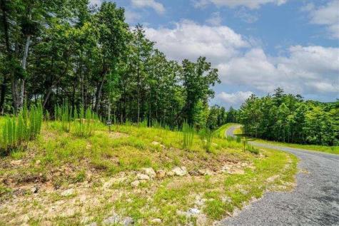 0 Ridge Drive Morganton GA 30560