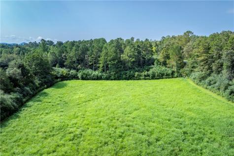 0 Highway 136 W Talking Rock GA 30175