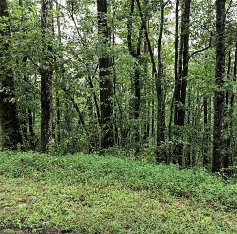 30 Honeysuckle Highway Jasper GA 30143