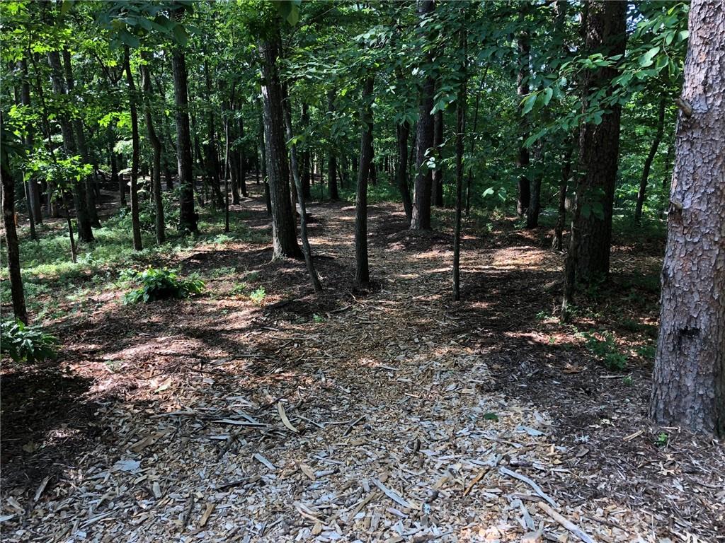 104 Sharp Mountain Parkway Jasper GA 30143