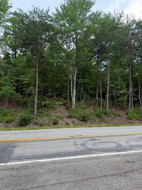 0 Highway 52 West Dahlonega GA 30353