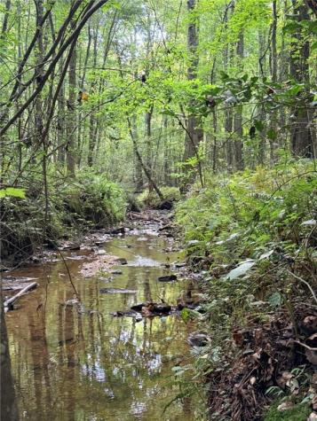 Lot 26 Skidder Way Jasper GA 30143