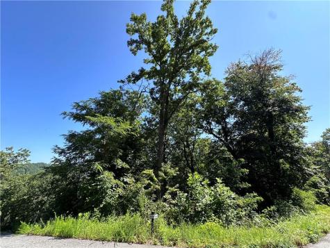 0 Ivy Ridge Clarkesville GA 30523