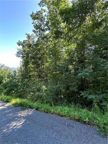 0 Ivy Ridge Clarkesville GA 30523