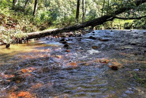 14551 Highway 52 E Ellijay GA 30536