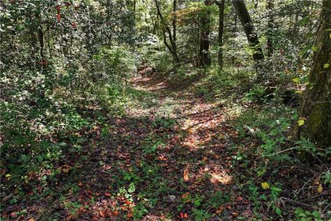 14551 Highway 52 E Ellijay GA 30536