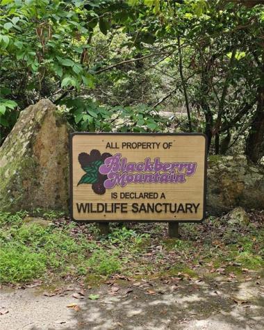 0 Blackberry Mountain Road Ellijay GA 30536