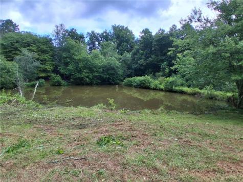 0 Blackberry Mountain Road Ellijay GA 30536