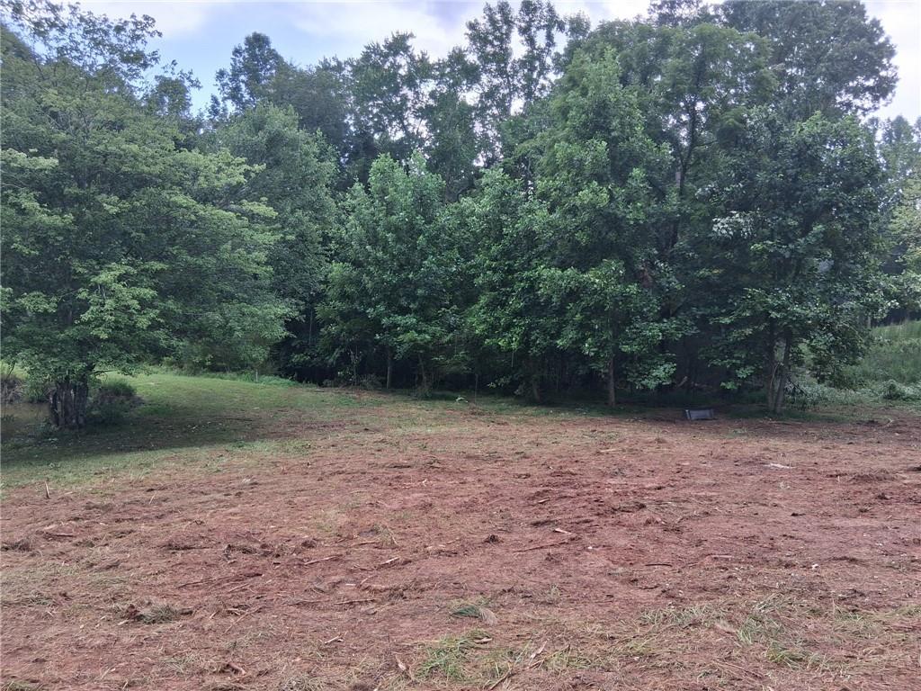 0 Blackberry Mountain Road Ellijay GA 30536