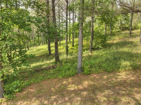 Lt 31 Eastside Drive Ellijay GA 30536