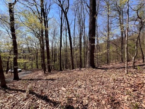 4546 Sassafras Court Jasper GA 30143