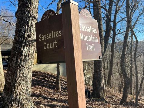 4546 Sassafras Court Jasper GA 30143