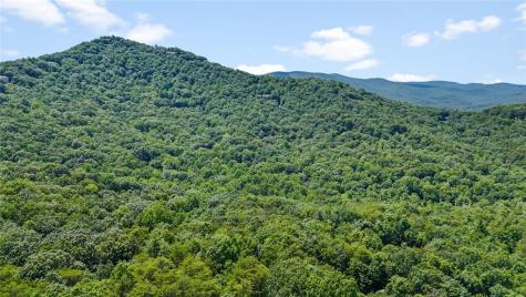 196 Cinnamon Fern Lane Big Canoe GA 30143