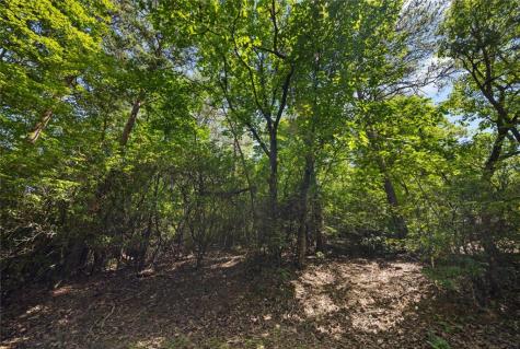 196 Cinnamon Fern Lane Big Canoe GA 30143
