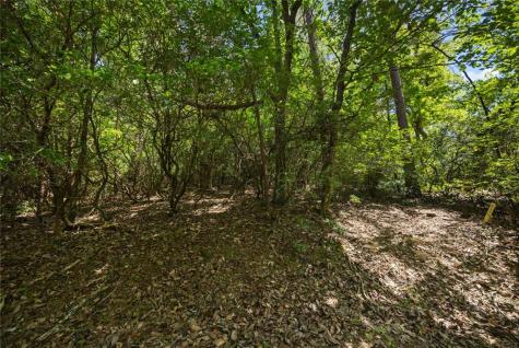 196 Cinnamon Fern Lane Big Canoe GA 30143