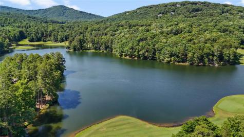 196 Cinnamon Fern Lane Big Canoe GA 30143