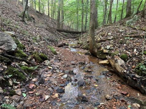 Lot 21 Norton Lane Dahlonega GA 30533