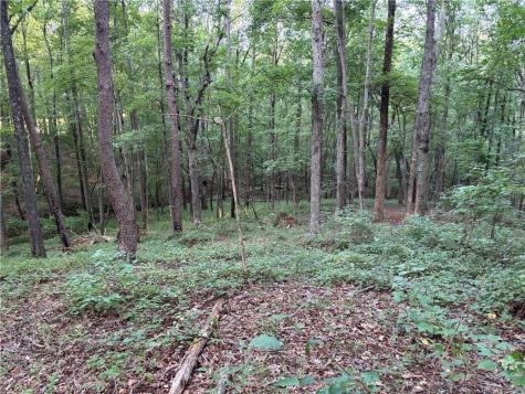 Lot 21 Norton Lane Dahlonega GA 30533