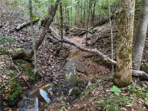 Lot 21 Norton Lane Dahlonega GA 30533