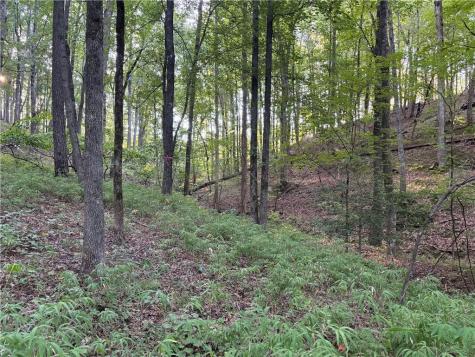 Lot 21 Norton Lane Dahlonega GA 30533