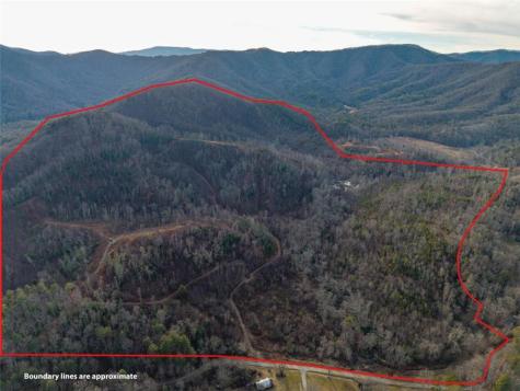 156+ Higdon Creek Road Blue Ridge GA 30513