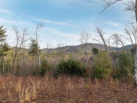 156+ Higdon Creek Road Blue Ridge GA 30513
