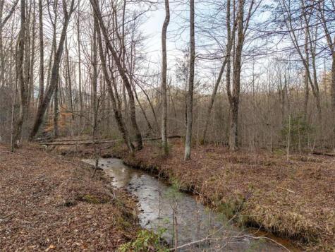 156+ Higdon Creek Road Blue Ridge GA 30513