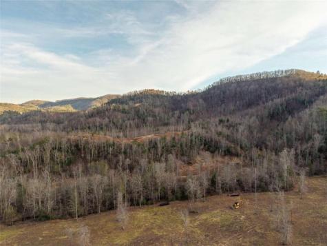 156+ Higdon Creek Road Blue Ridge GA 30513