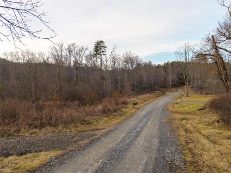 156+ Higdon Creek Road Blue Ridge GA 30513
