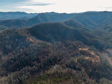 156+ Higdon Creek Road Blue Ridge GA 30513