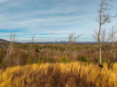 156+ Higdon Creek Road Blue Ridge GA 30513