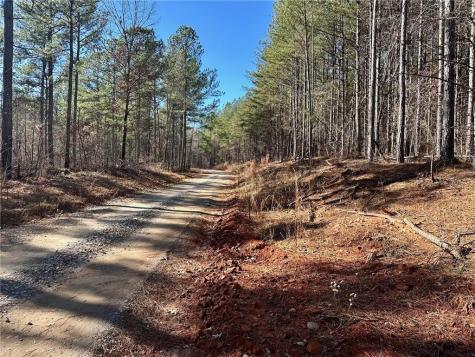 1107 Larmon Forks Road Dahlonega GA 30533