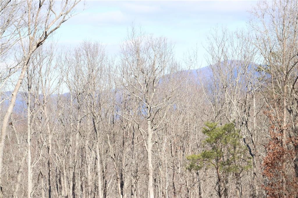 179 Trailwood Drive Ellijay GA 30536