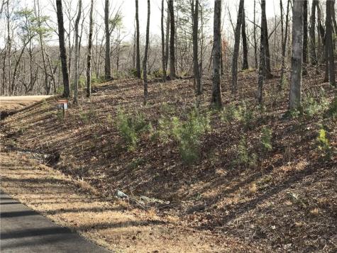 179 Trailwood Drive Ellijay GA 30536
