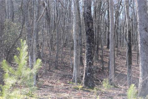 179 Trailwood Drive Ellijay GA 30536