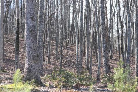 179 Trailwood Drive Ellijay GA 30536