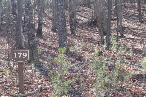 179 Trailwood Drive Ellijay GA 30536