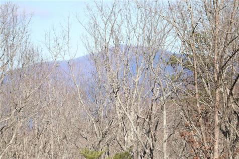 179 Trailwood Drive Ellijay GA 30536