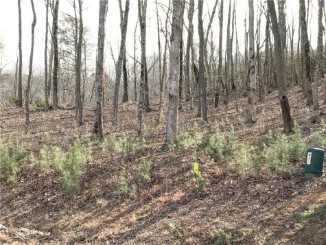179 Trailwood Drive Ellijay GA 30536