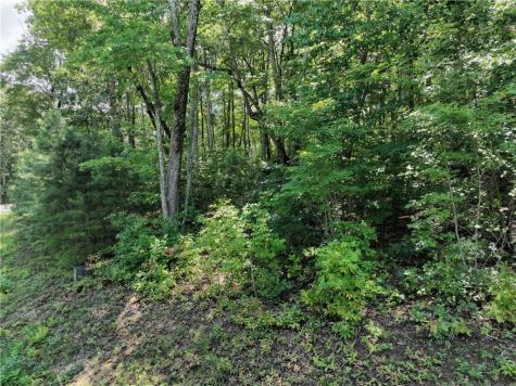 179 Trailwood Drive Ellijay GA 30536
